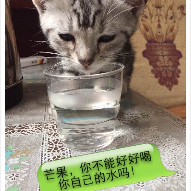 注销不动产权证书的程序